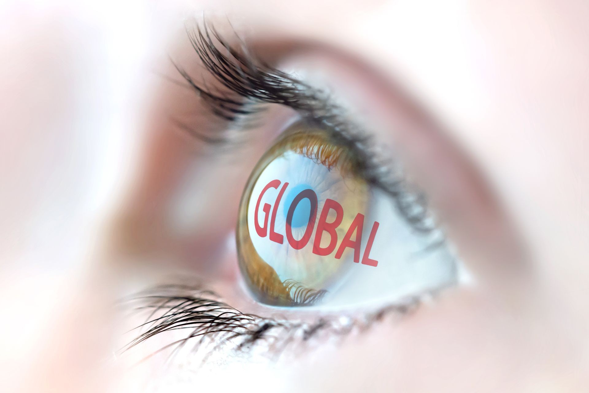 Global reflection in eye.